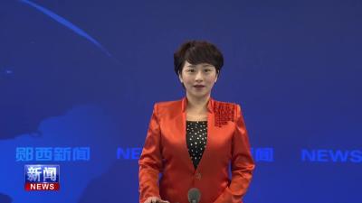 梁子湖区委副书记、区长窦小华来郧西开展区域协作工作.mp4