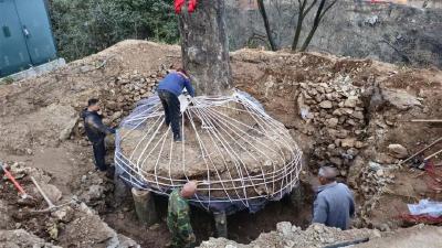 给西十高铁让路，227岁的它搬新家！