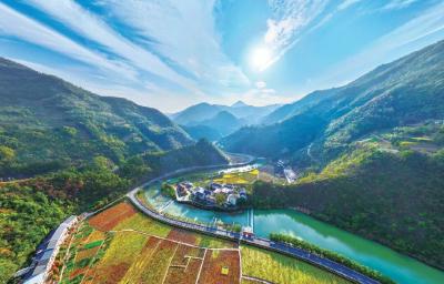 “流量”变成“留量”！郧西这个村集体经济5年翻10多倍