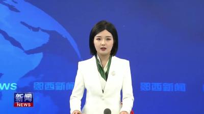 “链接湾区·智汇郧西” 中国人寿·郧西智能制造产业生态招商专题推介会在深圳举行.mp4