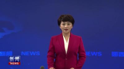 县领导参加各代表团分团审议.mp4