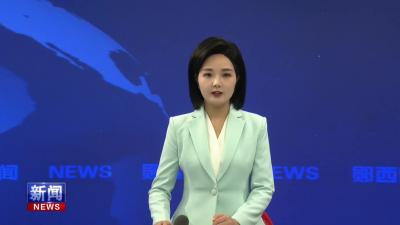 王兵在全县平安稳定工作专题会议上强调   全力防风险保安全护稳定  建设更高水平的平安郧西.mp4