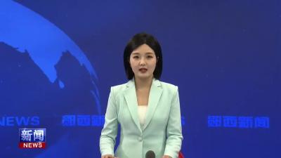 “景阳桐”入选省级优势商标认证.mp4