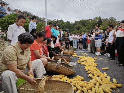 【回眸“十四五”· 我们这样走过】土门镇：奋进五载谱华章 砥砺前行启新程