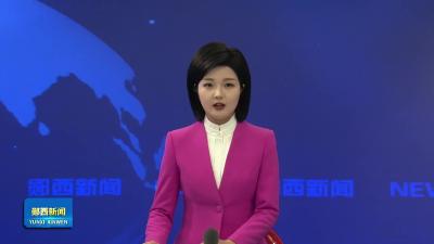 智慧绿谷香菇俏销市场.mp4