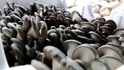 入选省级典型！年产值超37亿元！