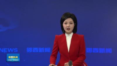 早春红梅绽放 市民纷至“打卡”