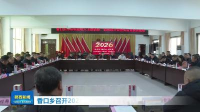 香口乡召开2026年成功人士座谈会