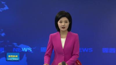 我县2026年新春体育嘉年华武术展演活动精彩上演.mp4