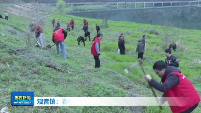 观音镇：春植千株绿  守护天河美.