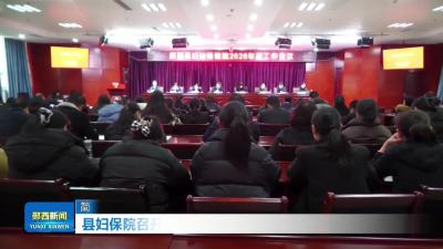县妇保院召开2026年度工作会议
