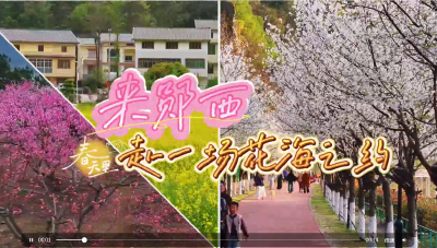 来郧西赴一场花海之约