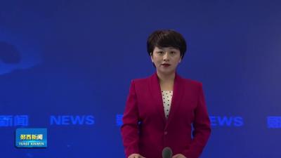 湖北省首次记录 郧西县发现全球第三种隐孔菌属真菌秦岭隐孔菌