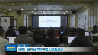 县审计局开展年轻干部大数据培训