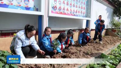 郧西县第一实验小学：植绿护绿践初心 劳动育人润童心.