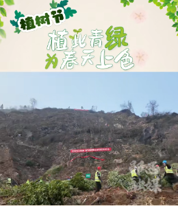 “植”此青绿，为春天上色！