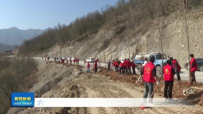 六郎乡干群植绿忙.