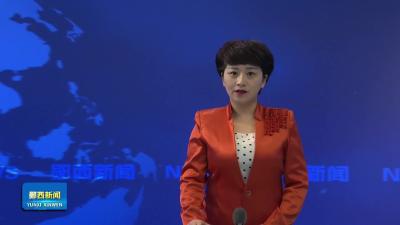 漫步樱花步道 邂逅春日浪漫