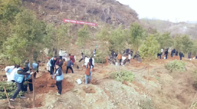 【郧西视点】春染郧西添新绿 生态家园入画来