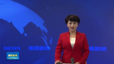 “樱缘羊尾 乐享山水”樱桃采摘季火爆开启