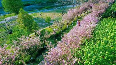 这个五一，把时间交给郧西！