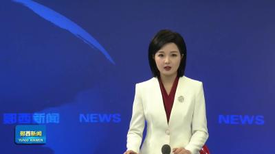 爱国卫生服务进乡村 健康送到群众家门口.