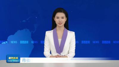 市委常委、宣传部部长汤红兵来郧西调研.