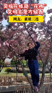 莫摇花枝造“花雨” 文明赏景方留香！网友：素质三连