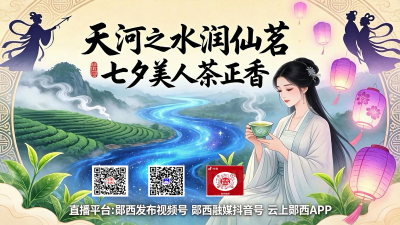 直播： 天河之水润仙茗 七夕美人茶正香