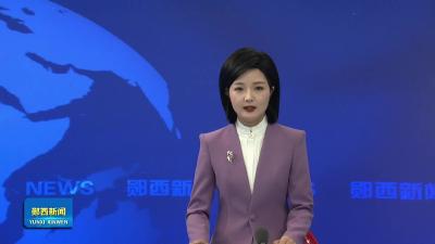 羊尾镇专家地头“开方” 科技赋能春耕忙.