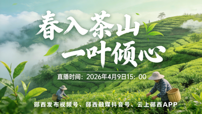 直播：春入茶山 一叶倾心