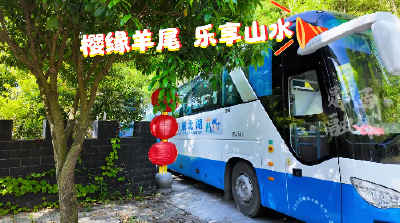 樱缘羊尾 乐享山水！羊尾山水藏甜蜜 樱桃采摘正当时