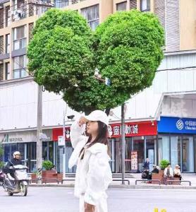 快去打卡！新华社头条点赞郧西❤树！