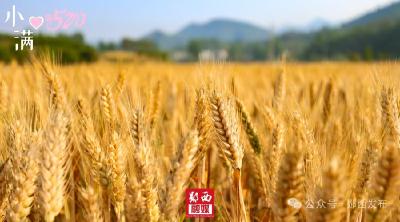 当520遇小满｜人生小满胜万全