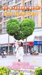 爱心树就位，快来定格专属瞬间！