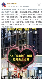 2小时12万人围观！新华社再推郧西“爱心树”！
