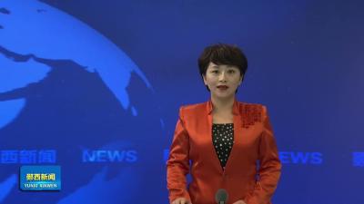 夹河镇：片片“金叶”铺就乡村致富路