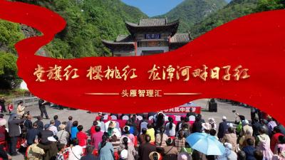 头雁智理汇——党旗红，樱桃红，龙潭河畔日子红