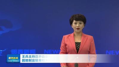 王兵主持召开县委常委会会议     因地制宜培育壮大实体经济  以高水平安全护航高质量发展