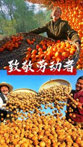 向每一位奋斗的你，致敬！