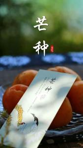 芒种至，麦穗黄，见麦丰收，万事顺畅！