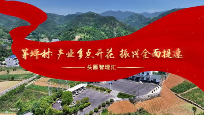 头雁智理汇——茅坪村：产业多点开花 振兴全面提速