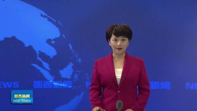 夏种正当时 玉米播种忙
