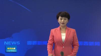 羊尾镇“粮药套种”种出乡村振兴新“药”方