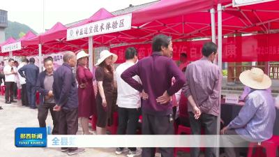 全县第五期中医药文化夜市活动走进湖北口回族乡