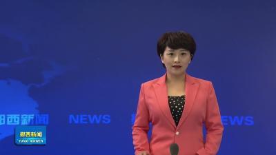 湖北口回族乡：平菇采摘忙 乡村产业旺.