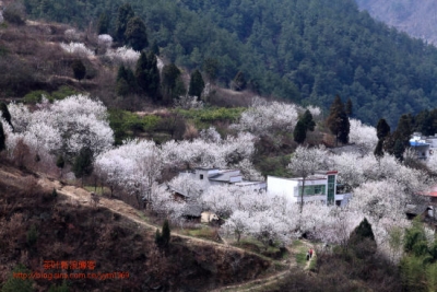 走经济发展和生态保护双赢之路 十堰樱桃沟 流淌乡愁的新村庄