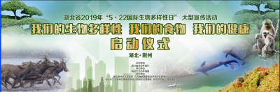 湖北省2019年国际生物多样性日宣传活动