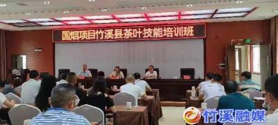 竹溪县举办国烟项目茶叶产业技能培训班