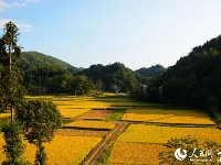 湖北恩施:硒都秋色美如画